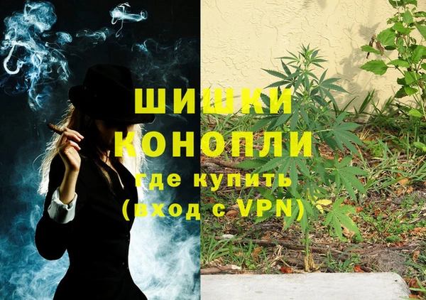 прущие крисы Абаза